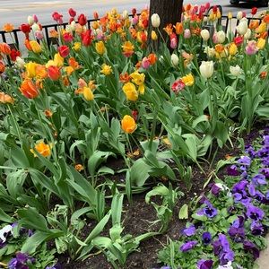 Meet your Posher, Sheryl